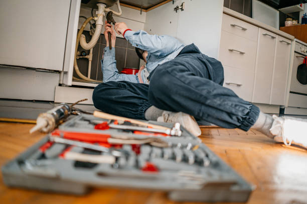 Best Plumbing Inspection Services  in Homer Glen, IL