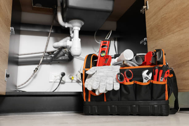 Best Local Plumber Services  in Homer Glen, IL