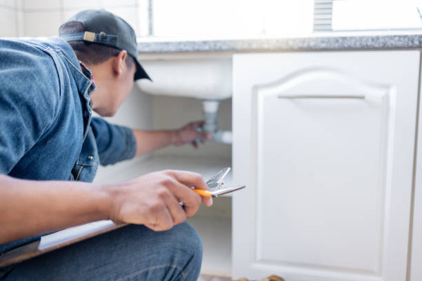 Best Sprinkler Systems  in Homer Glen, IL